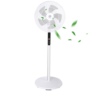 Oscillating Stand Fan